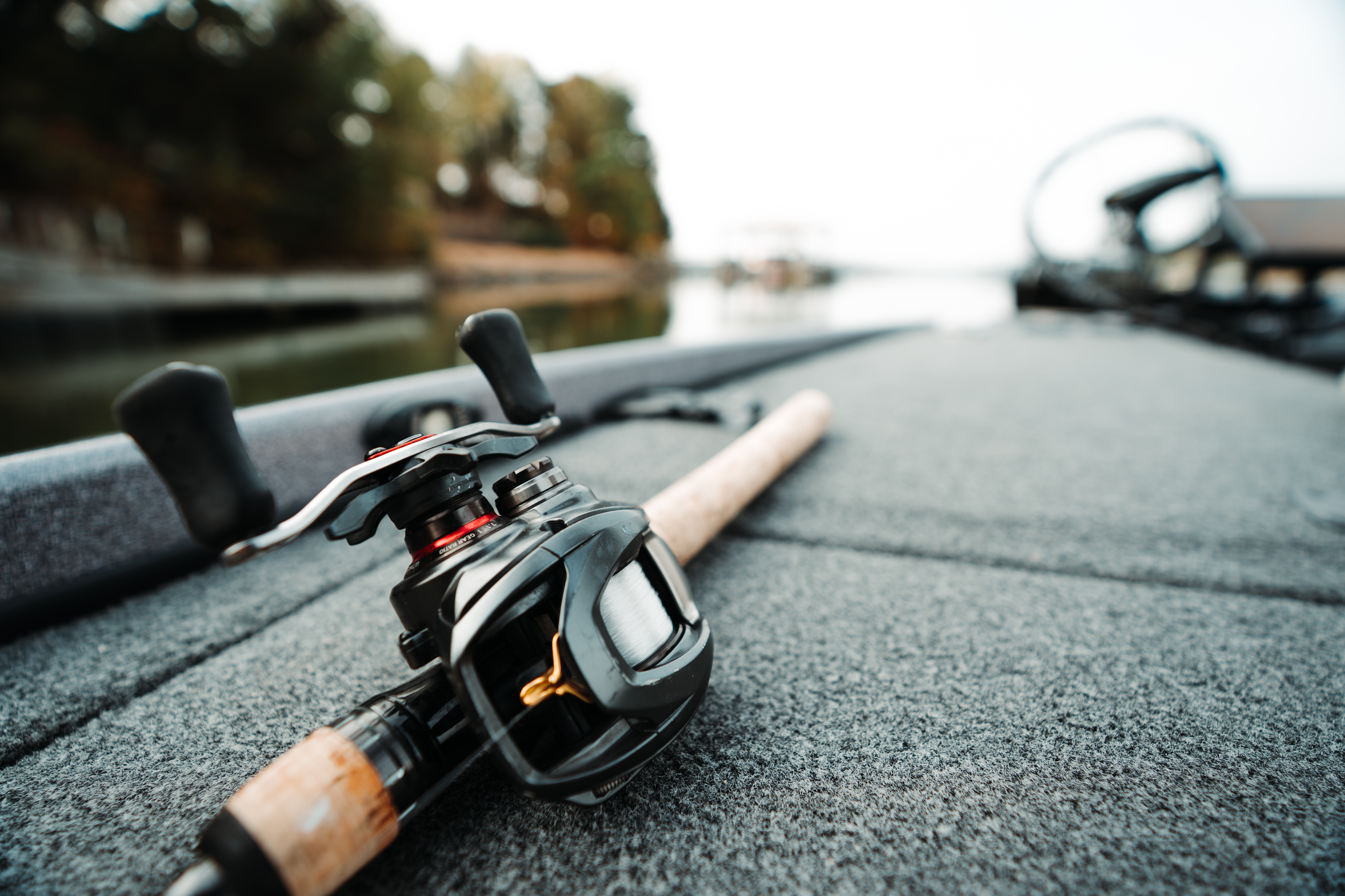 Daiwa Zillion TW HD Casting Reel - EOL | Omnia Fishing